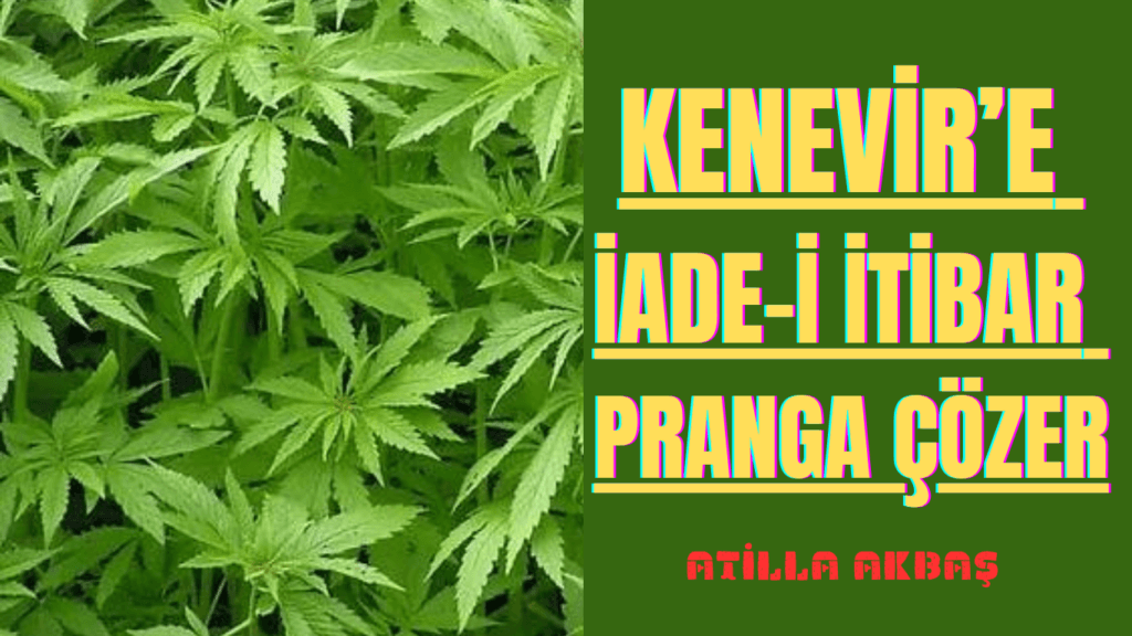 KENEVİR’E İADE-İ İTİBAR PRANGA ÇÖZER