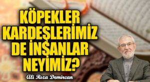 KÖPEKLER KARDEŞLERİMİZ DE İNSANLAR NEYİMİZ?