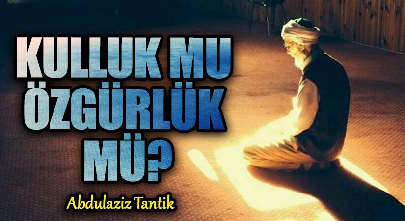 Kulluk Mu Özgürlük Mü?