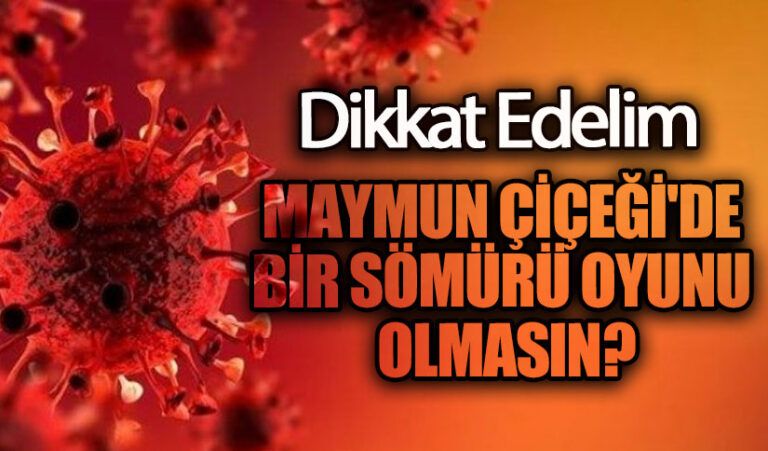 MAYMUN ÇİÇEĞİ’DE BİR SÖMÜRÜ OYUNU OLMASIN?