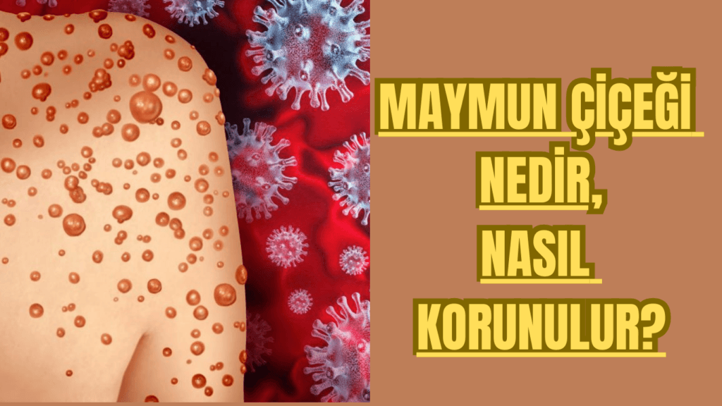 Maymun Çiçeği Nedir, Nasıl Korunulur?