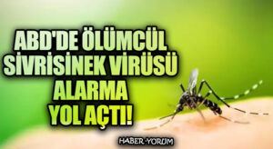 ABD’de Ölümcül Sivrisinek Virüsü Alarma Yol Açtı