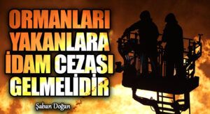 Ormanları Yakanlara İdam Cezası Gelmelidir