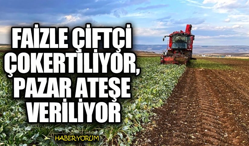 FAİZLE ÇİFTÇİ ÇOKERTİLİYOR, PAZAR ATEŞE VERİLİYOR
