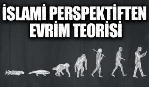İslami Perspektiften Evrim Teorisi