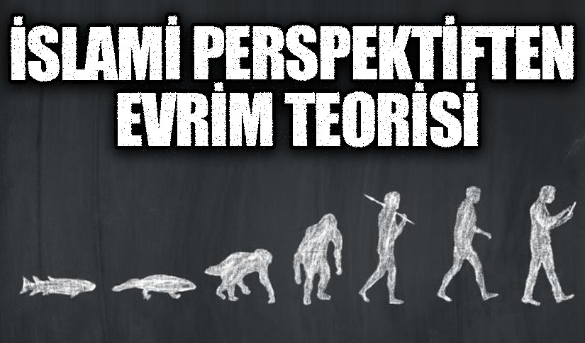 İslami Perspektiften Evrim Teorisi