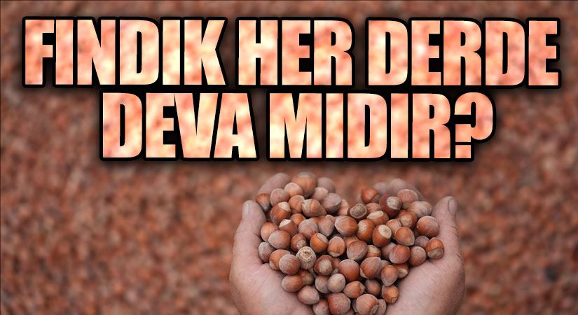 FINDIK HER DERDE DEVA MIDIR?