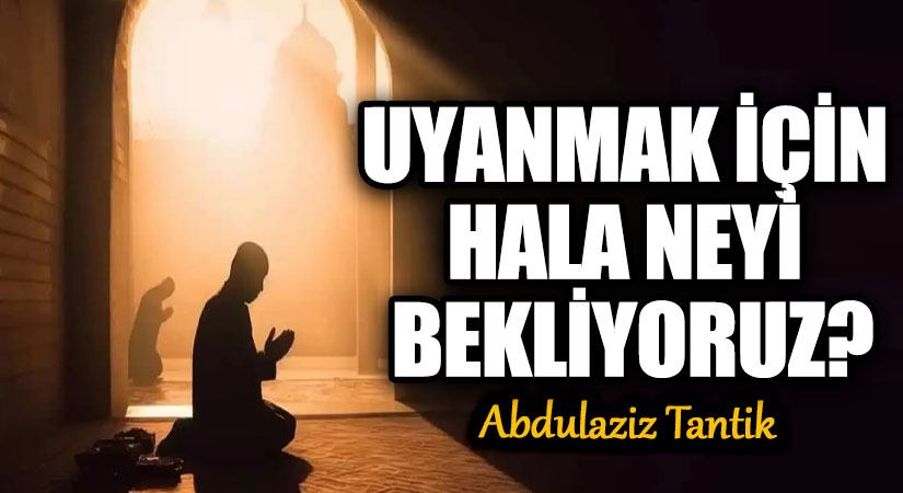 Uyanmak İçin Hala Neyi Bekliyoruz?