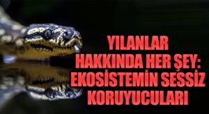 Yılanlar Hakkında Her Şey: Ekosistemin Sessiz Koruyucuları