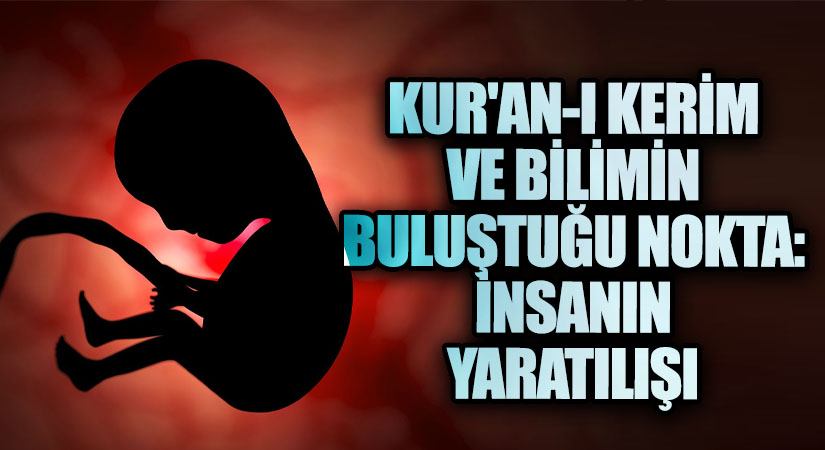 Kur’an-ı Kerim ve Bilimin Buluştuğu Nokta: İnsanın Yaratılışı