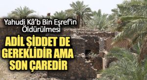 ADİL ŞİDDET DE GEREKLİDİR AMA SON ÇAREDİR