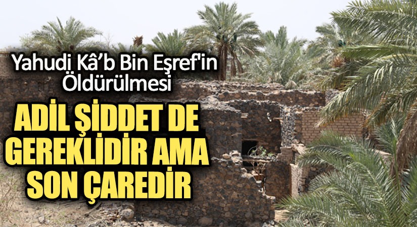 ADİL ŞİDDET DE GEREKLİDİR AMA SON ÇAREDİR