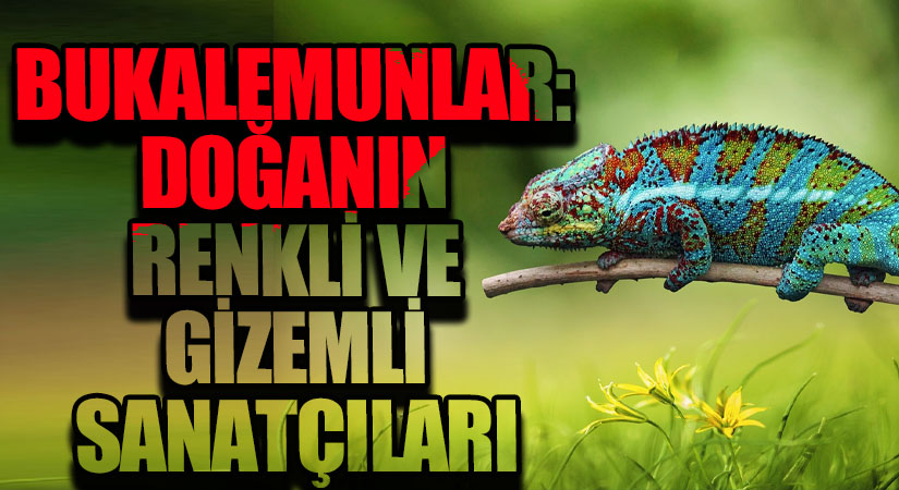 Bukalemunlar: Doğanın Renkli ve Gizemli Sanatçıları