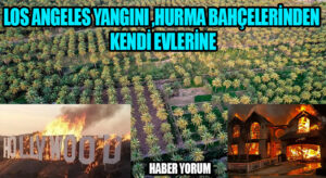 Los Angeles Yangını, Hurma Bahçelerinden Kendi Evlerine  Uzanan Bir İkaz  Mı?