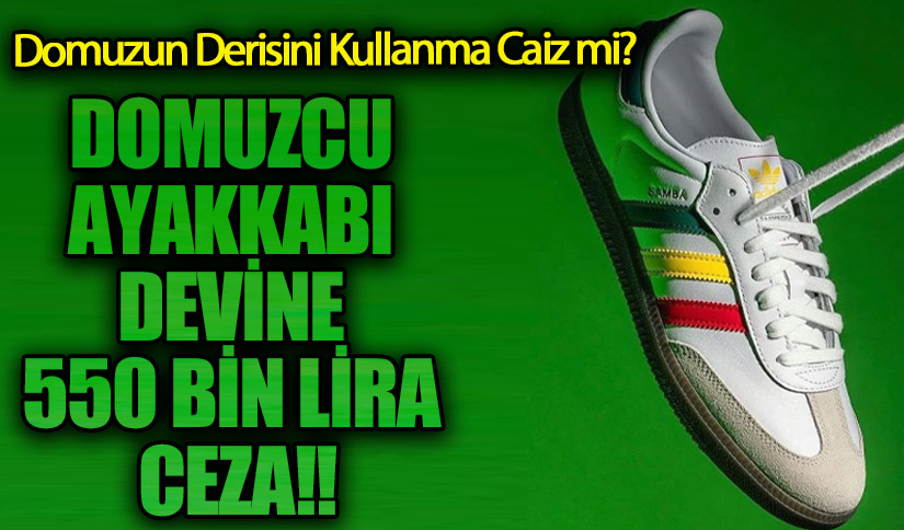 DOMUZCU AYAKKABI DEVİNE 550 BİN LİRA CEZA