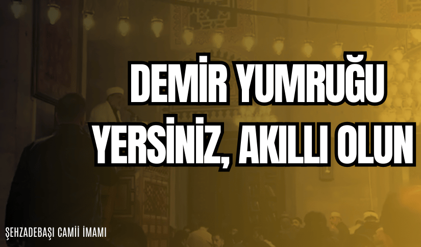 Demir Yumruğu Yersiniz, Aklınızı Başınıza Alın