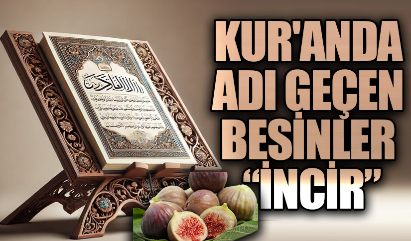 KUR’AN’DA ADI GEÇEN BESİNLER  “İNCİR”