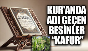 KUR’AN’DA ADI GEÇEN BESİNLER “KÂFUR”