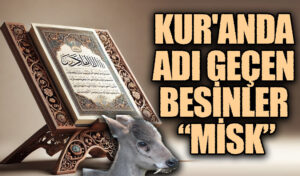KUR’AN’DA ADI GEÇEN BESİNLER “MİSK”
