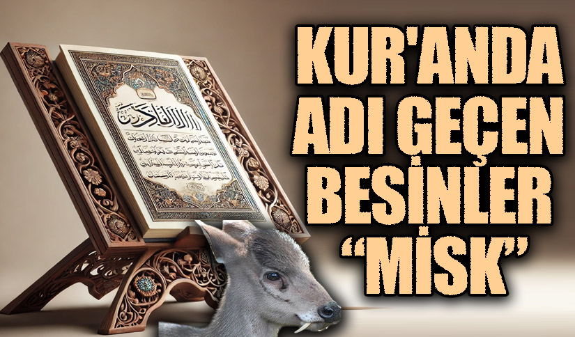 KUR’AN’DA ADI GEÇEN BESİNLER “MİSK”