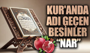 KUR’AN’DA ADI GEÇEN BESİNLER “NAR”