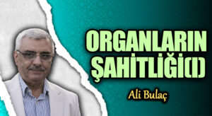 ORGANLARIN ŞAHİTLİĞİ(I)
