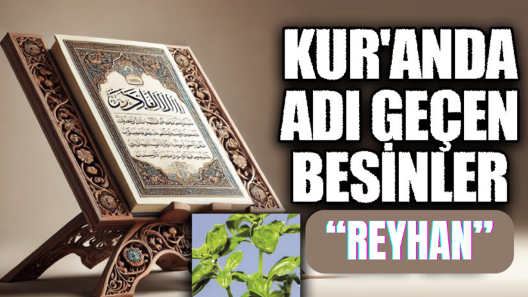KUR’AN’DA ADI GEÇEN BESİNLER “REYHAN”