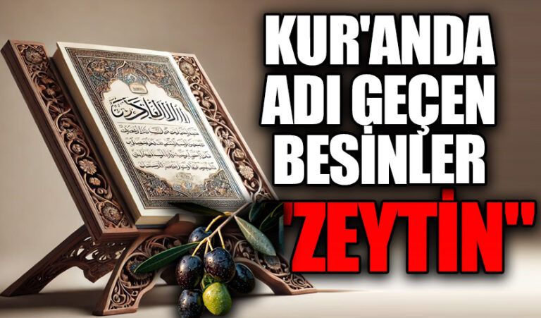 KUR’AN’DA ADI GEÇEN BESİNLER “ZEYTİN”