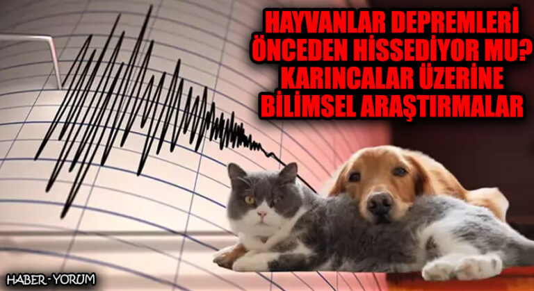 Hayvanlar Depremleri Önceden Hissediyor mu? Karıncalar Üzerine Bilimsel Araştırmalar