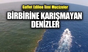 BİRBİRİNE KARIŞMAYAN DENİZLER