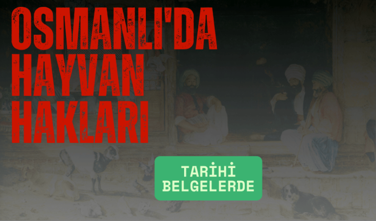 Osmanlı’da Sokak Hayvanları