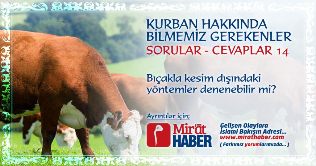 Bıçakla Kesim Dışındaki Yöntemler Denenebilir mi?