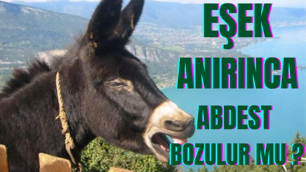 EŞEK ANIRINCA ABDEST BOZULUR MU ?