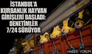 İstanbul’a Kurbanlık Hayvan Girişleri Başladı: Denetimler 7/24 Sürüyor