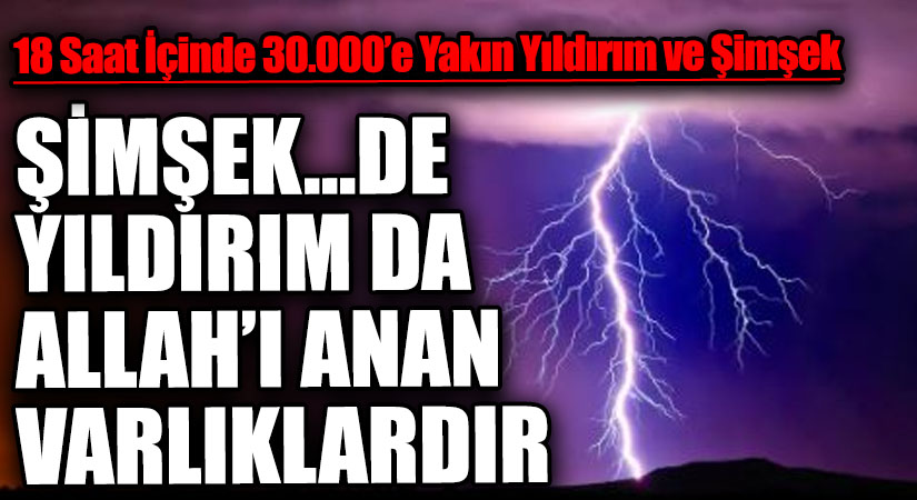 ŞİMŞEK…DE YILDIRIM DA ALLAH’I ANAN VARLIKLARDIR