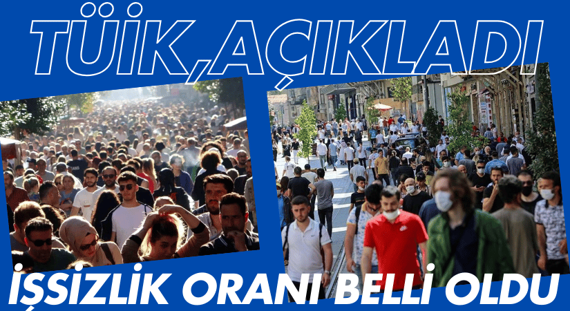 İşsizlik Oranı Yüzde 8,2 Seviyesinde Gerçekleşti