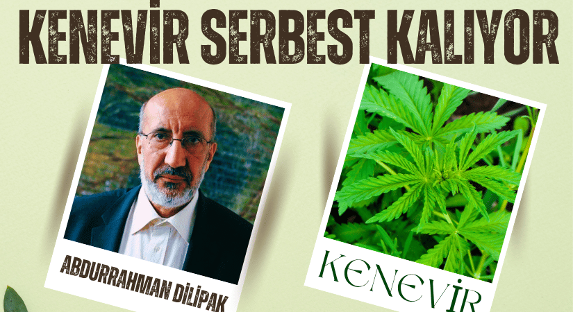 Tıbbi Kenevir Üretimine Yasal Zemin Hazırlanıyor