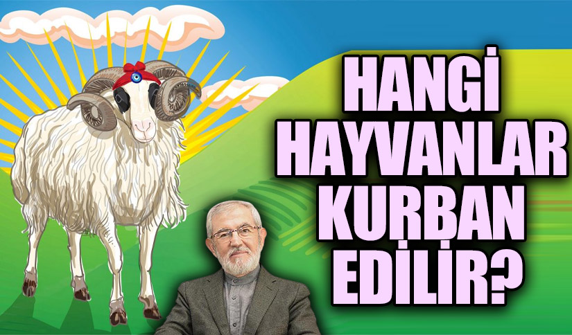HANGİ HAYVANLAR KURBAN EDİLİR?