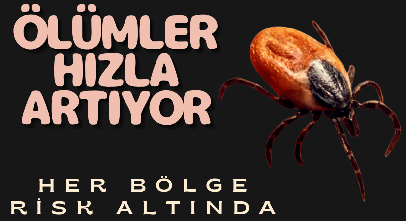 Kene Isırmaları Can Almaya Devam Ediyor!