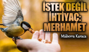 İstek Değil İhtiyaç: Merhamet