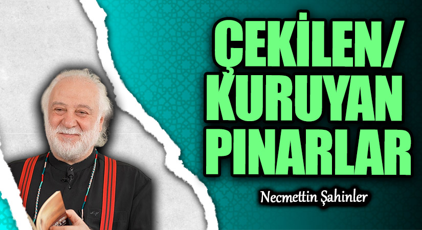 ÇEKİLEN/KURUYAN PINARLAR