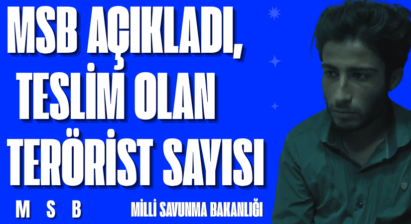 Teslim Olan Terörist Sayısı