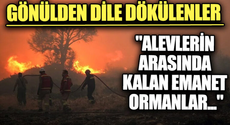 GÖNÜLDEN DİLE DÖKÜLENLER “Alevlerin Arasında Kalan Emanet Ormanlar…”