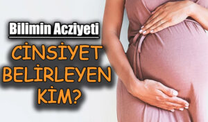 CİNSİYET BELİRLEYEN KİM?