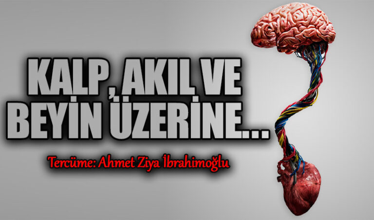 Kalp, Akıl ve Beyin Üzerine …