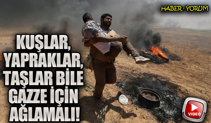 Kuşlar, Yapraklar, Taşlar Bile Gazze İçin Ağlamalı!