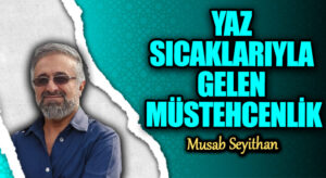 YAZ SICAKLARIYLA GELEN MÜSTEHCENLİK