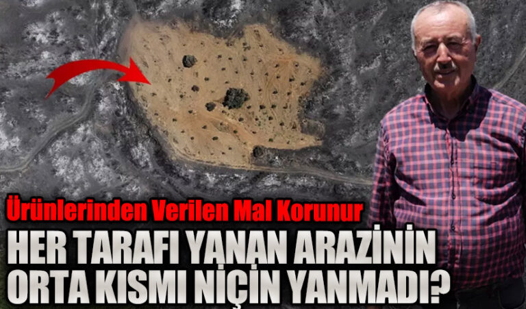 HER TARAFI YANAN ARAZİNİNİN ORTA KISMI NİÇİN YANMADI?
