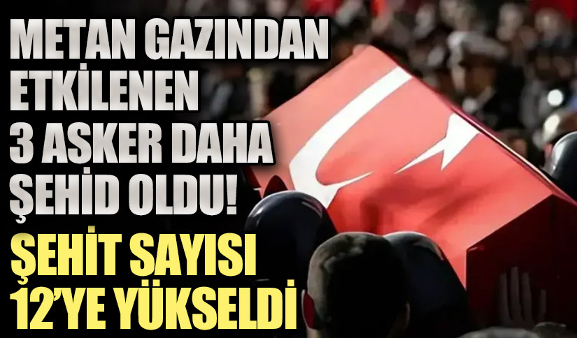 MSB: Şehit Sayımız 12’ye Yükseldi
