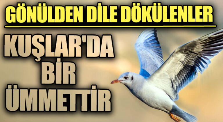 GÖNÜLDEN DİLE DÖKÜLENLER “Kuşlar’da Bir Ümmettir”